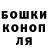 Канабис планчик Avokadick
