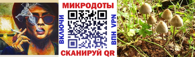 Псилоцибиновые грибы мухоморы Ступино
