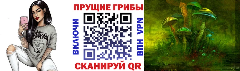 Псилоцибиновые грибы GOLDEN TEACHER  где купить наркоту  Ступино 