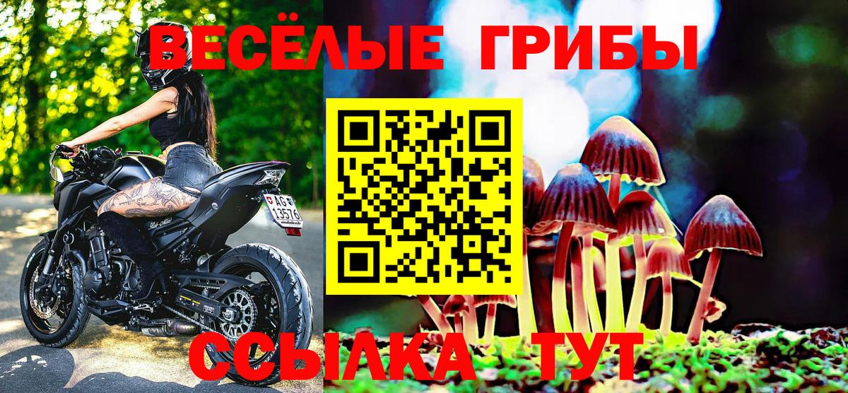 Галлюциногенные грибы ЛСД  Галлюциногенные грибы прущие грибы  Ступино  Вход с VPN 